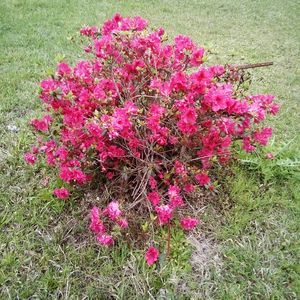 Meet your Posher, Wilma